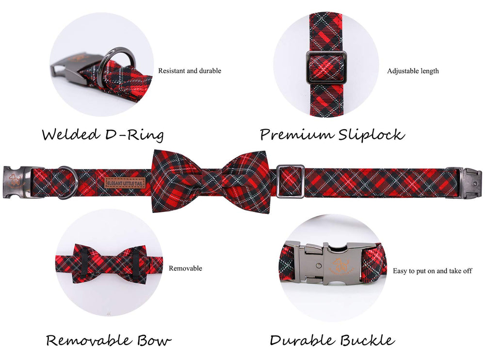 Lazo decorado de Elegant little tail, diseño único para realzar la personalidad del perro