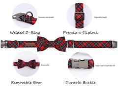 Lazo decorado de Elegant little tail, diseño único para realzar la personalidad del perro