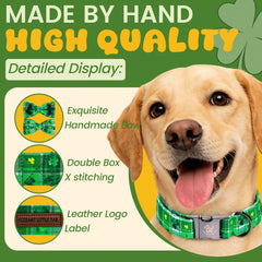 Lazo verde del collar Elegant little tail, perfecto para eventos festivos.
