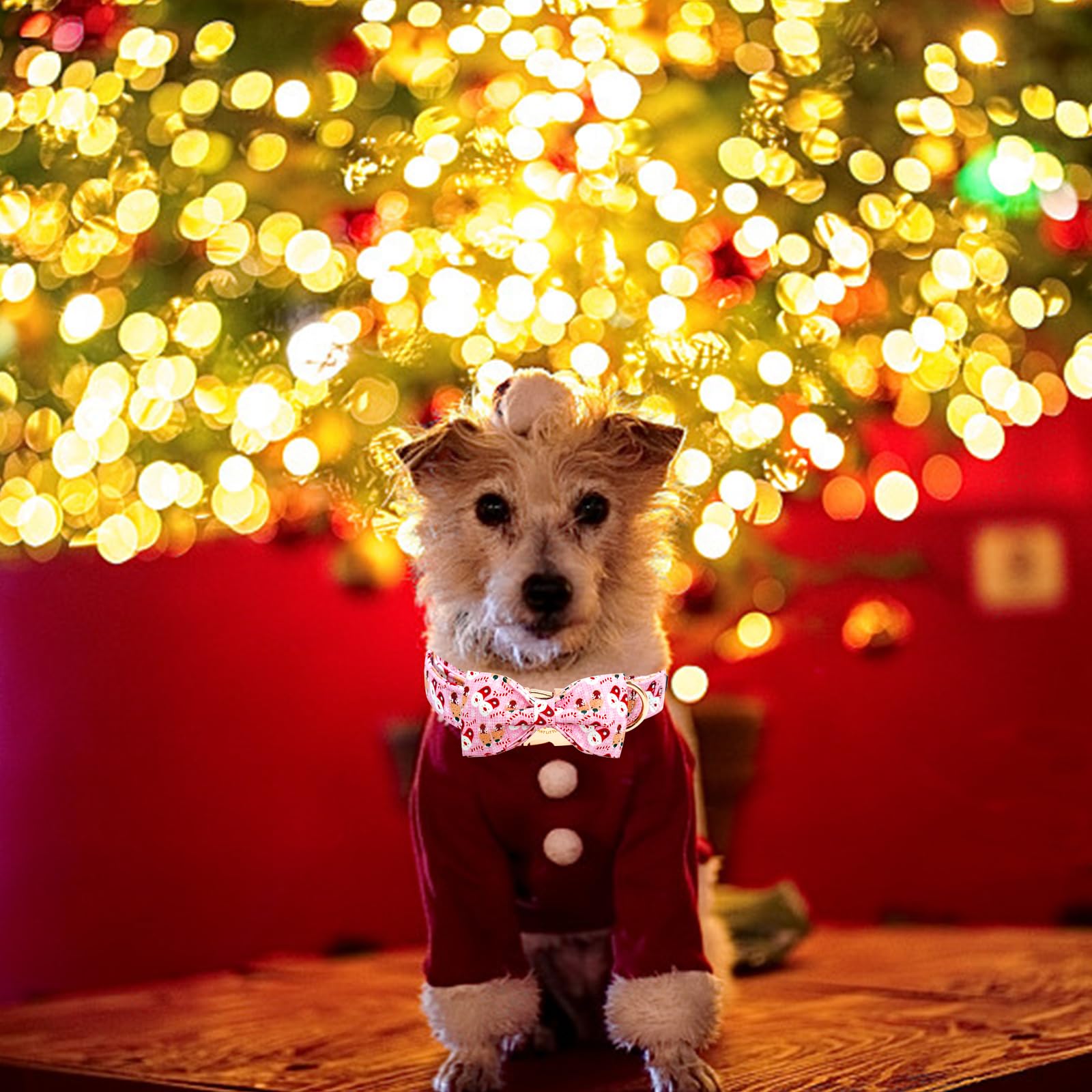 Presentación navideña rosa de Elegant little tail collar, ideal para regalo.
