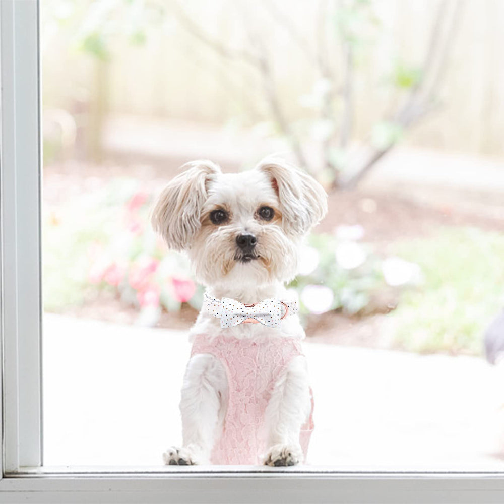 Regalo ideal para perros: collar con lazo elegante de Elegant Little Tail.