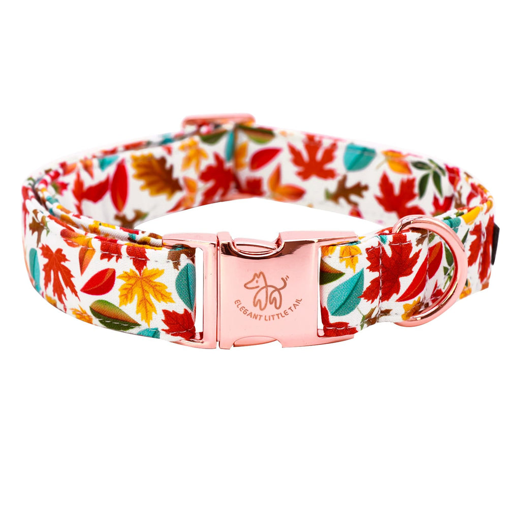 Collar Elegante Colita para perro con hojas de otoño, ideal para paseos otoñales.
