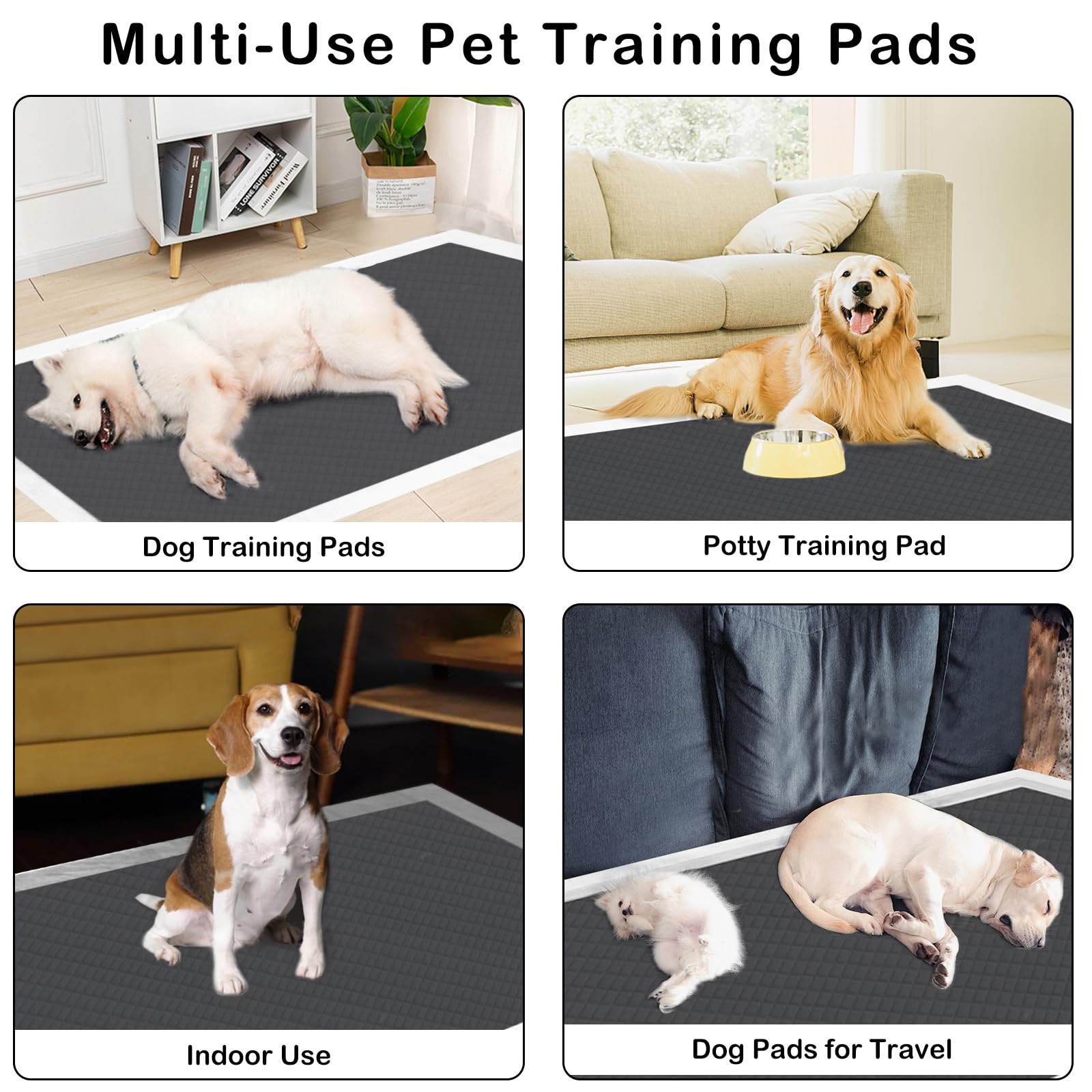 Uso del tapete ELEGX para entrenamiento interior y viajes con mascotas.