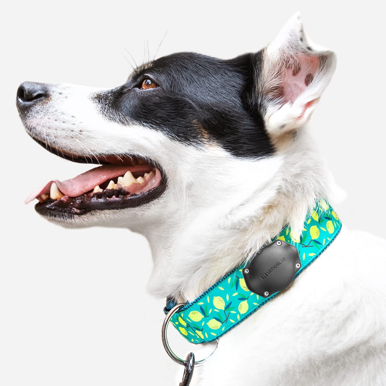 Elevation Lab TagVault AirTag Collar Mount: materiales duraderos y tornillos de alta resistencia.