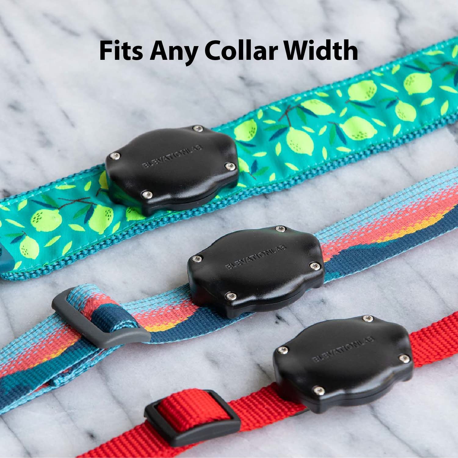Elevation Lab TagVault AirTag Collar Mount: resistente al agua IP69 para perros que nadan.