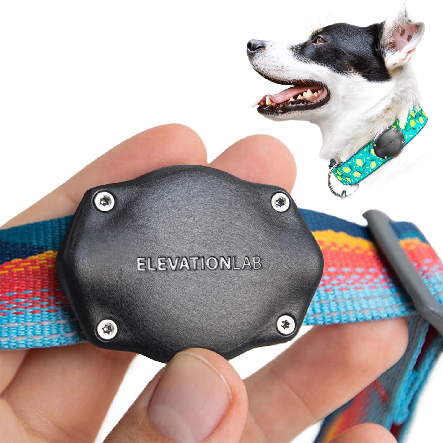Elevation Lab TagVault en collar AirTag: montaje seguro e impermeable