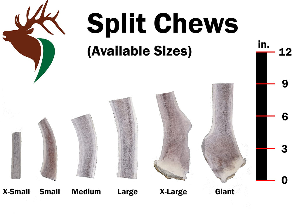 Elkhorn Premium Chews – interior de médula accesible para saborear