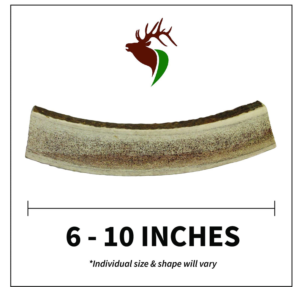 Elkhorn Premium Chews – una pieza única ideal para perros grandes