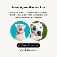 Embark: análisis de ascendencia para ver la mezcla de razas desde bisabuelos