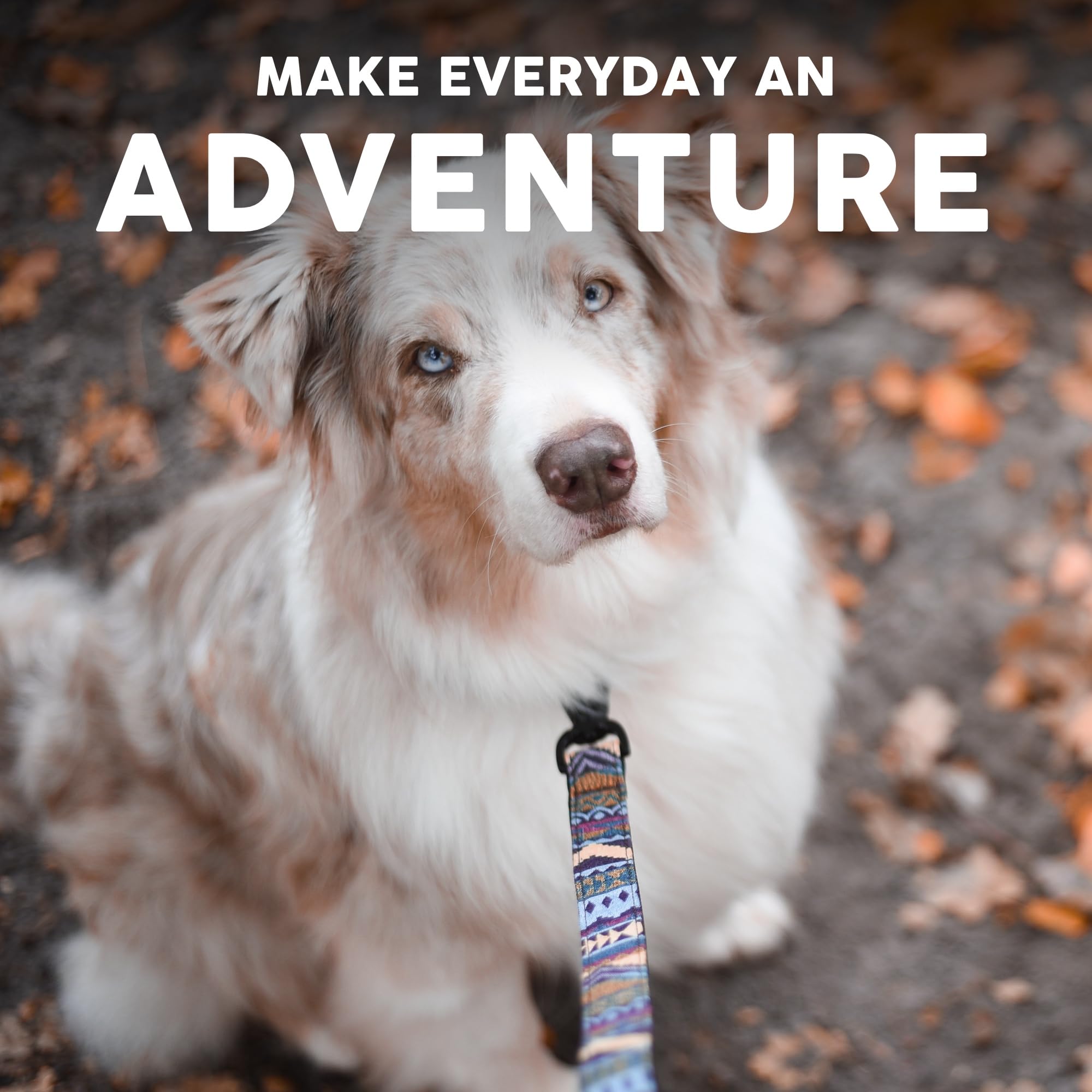 Embark Adventure con aluminio y nylon ofrece durabilidad y seguridad.