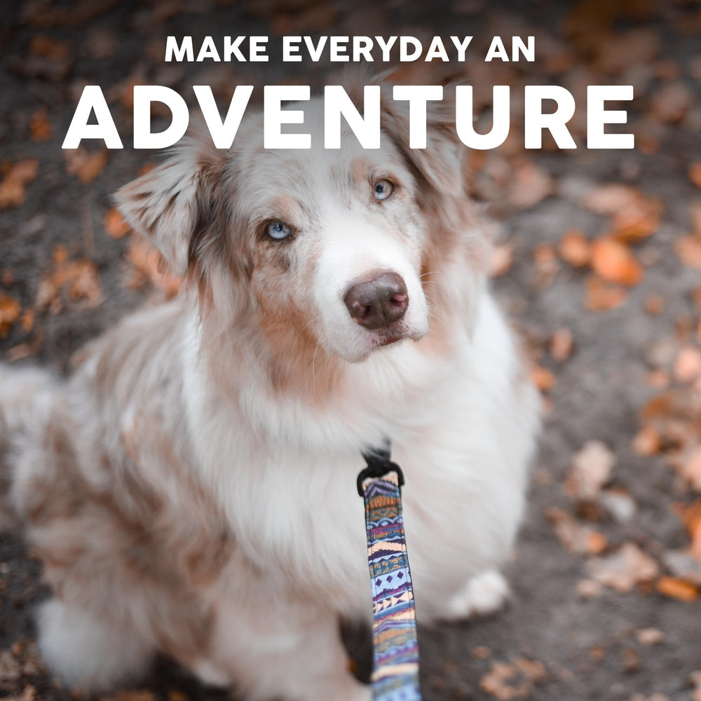 Embark Adventure con aluminio y nylon ofrece durabilidad y seguridad.