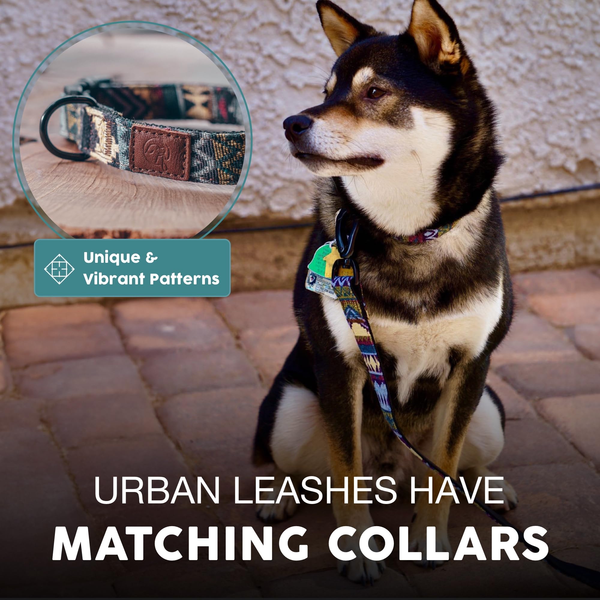 Lazo a juego Embark Adventure con collar para conjunto coordinado.