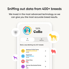 Embark: buscador de parientes caninos para conectar familiares alrededor del mundo