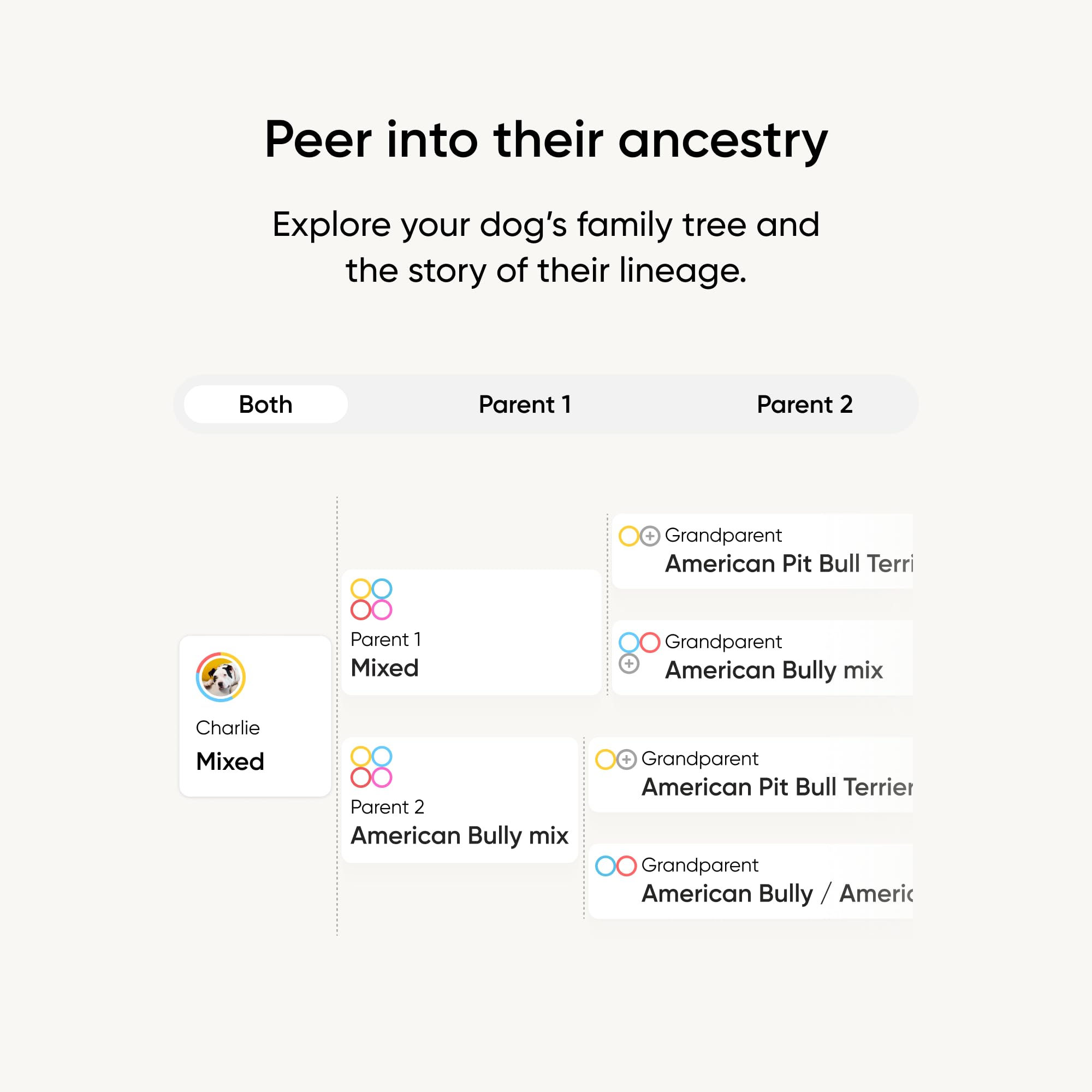 Embark: cuestionario de personalidad para identificar instintos y rasgos únicos
