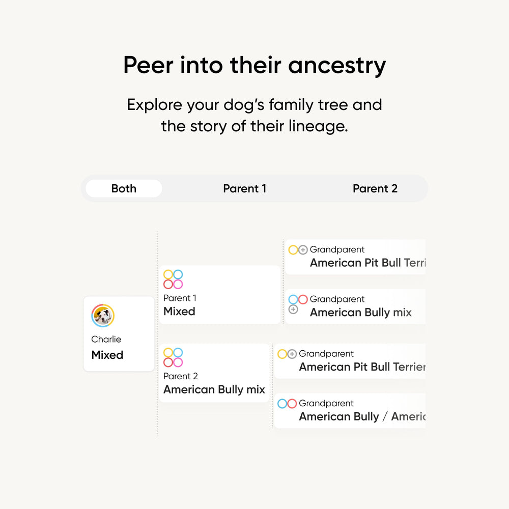 Embark: cuestionario de personalidad para identificar instintos y rasgos únicos
