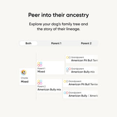 Embark: cuestionario de personalidad para identificar instintos y rasgos únicos