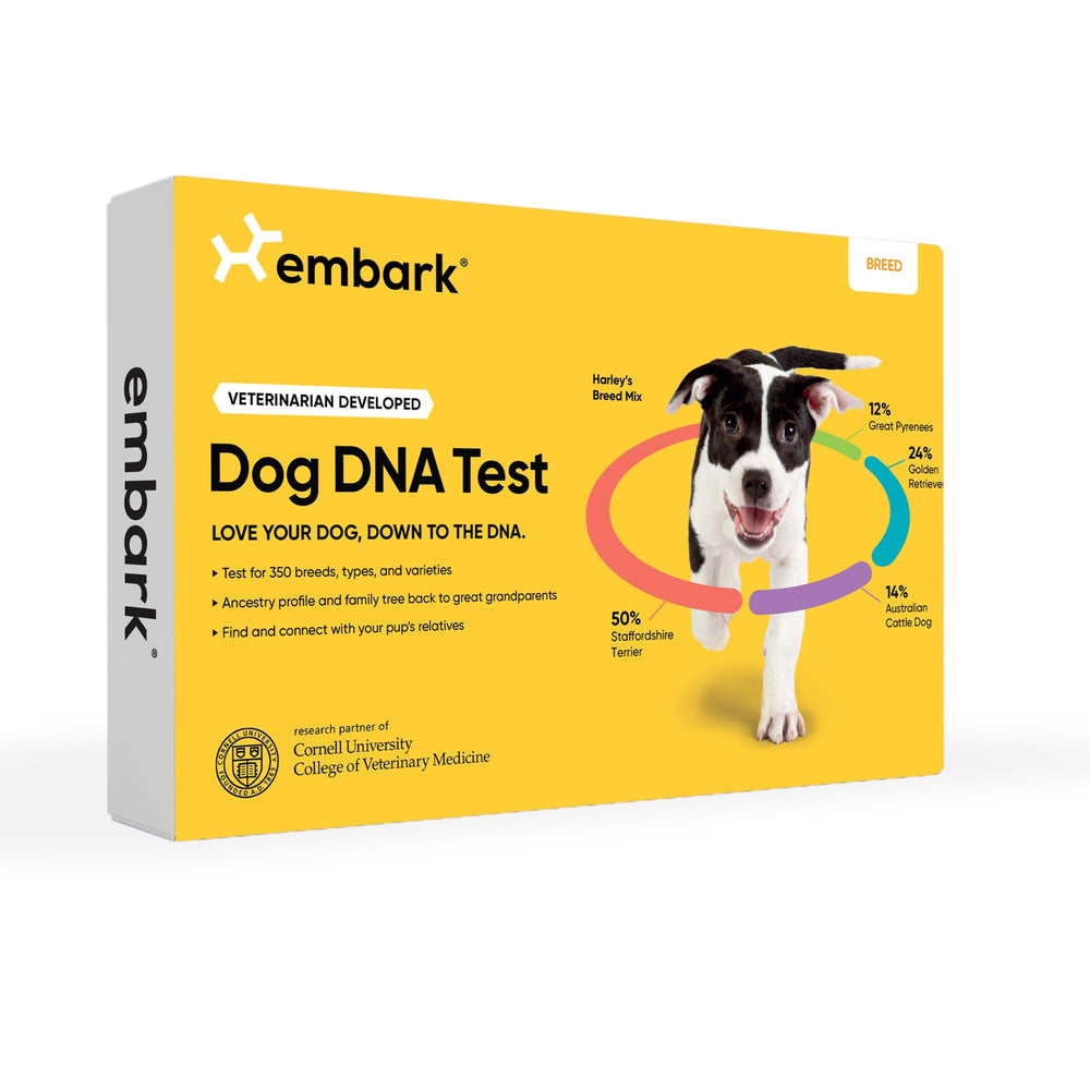 Embark: identificación de razas por ADN para conocer el origen de tu perro