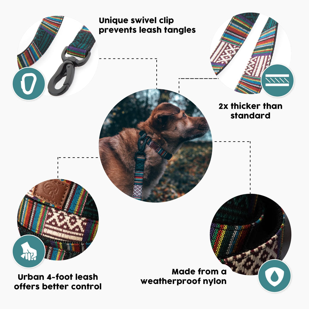 Embark Pets Adventure correa de nylon reforzado para durabilidad diaria