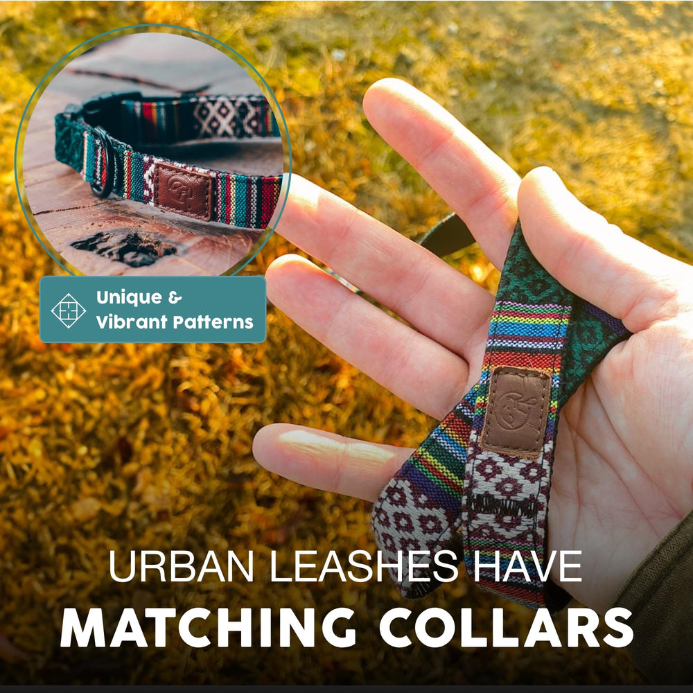 Embark Pets Adventure diseño vibrante para destacar en paseos y entrenamiento
