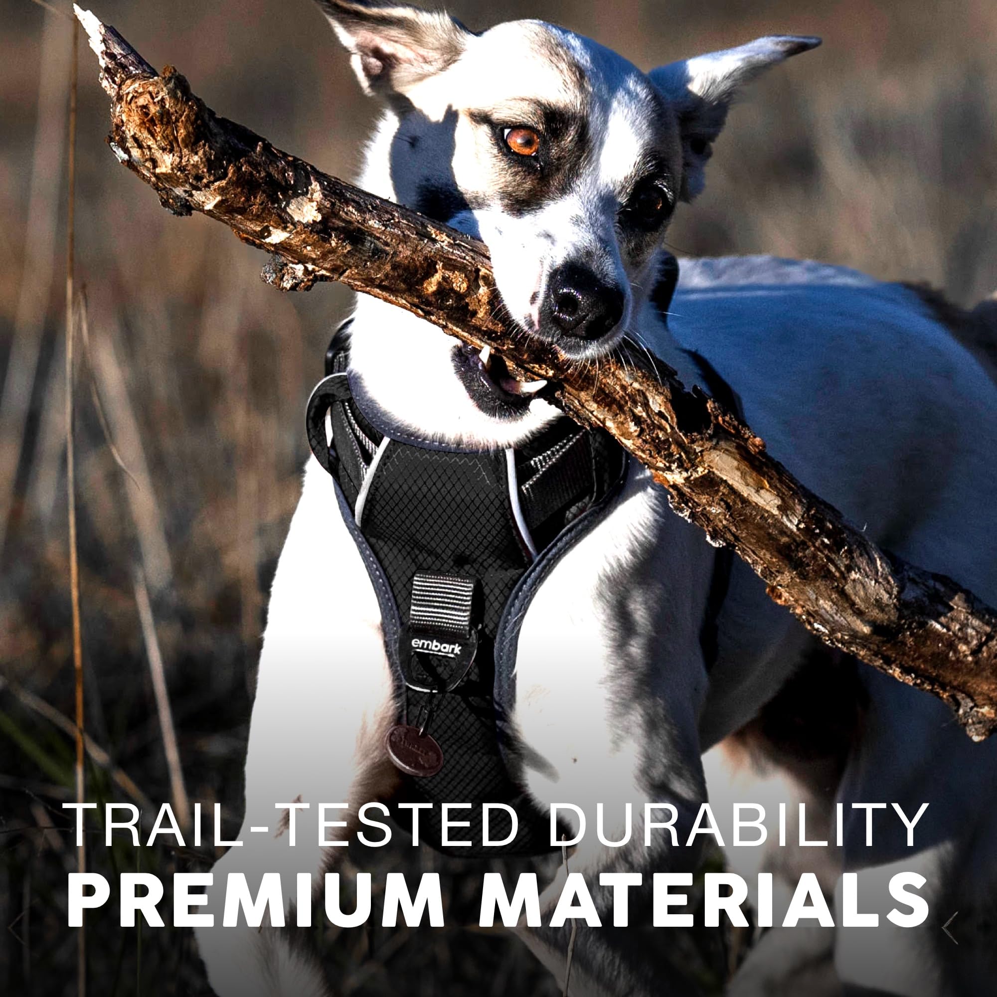 Arnés Embark Pets con ajuste amplio y clips reforzados para tallas grandes.