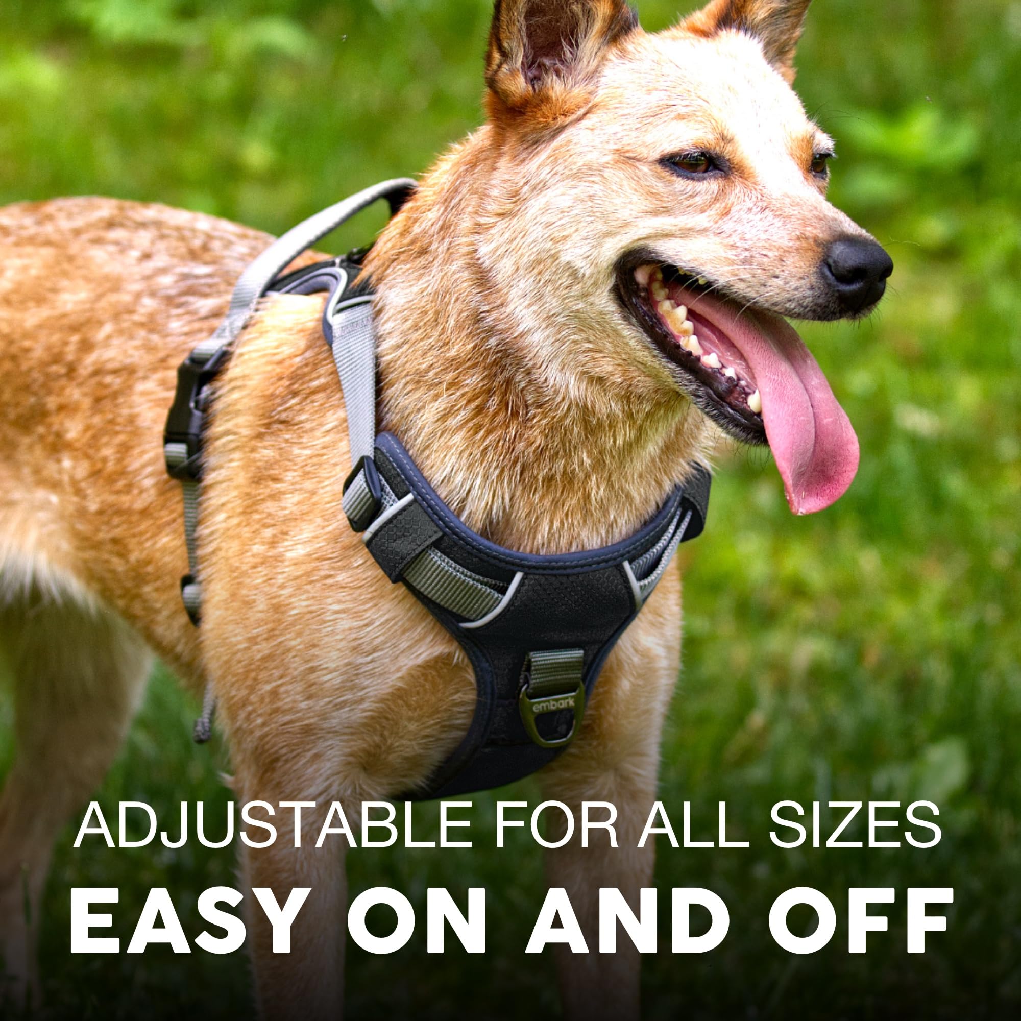Arnés Embark Pets con enganche trasero para caminar cómodo y seguro.