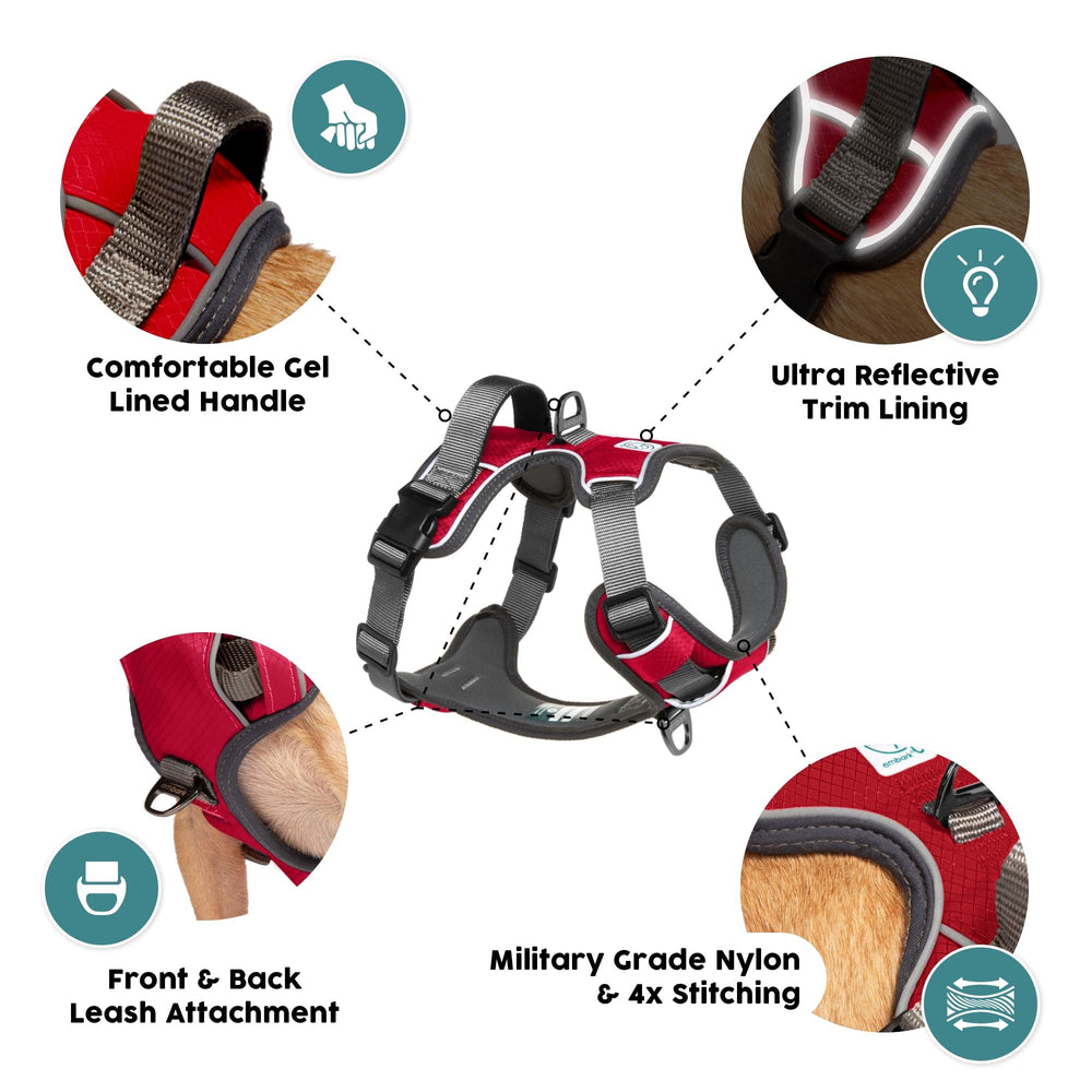 Nylon de grado militar, durabilidad para perros grandes