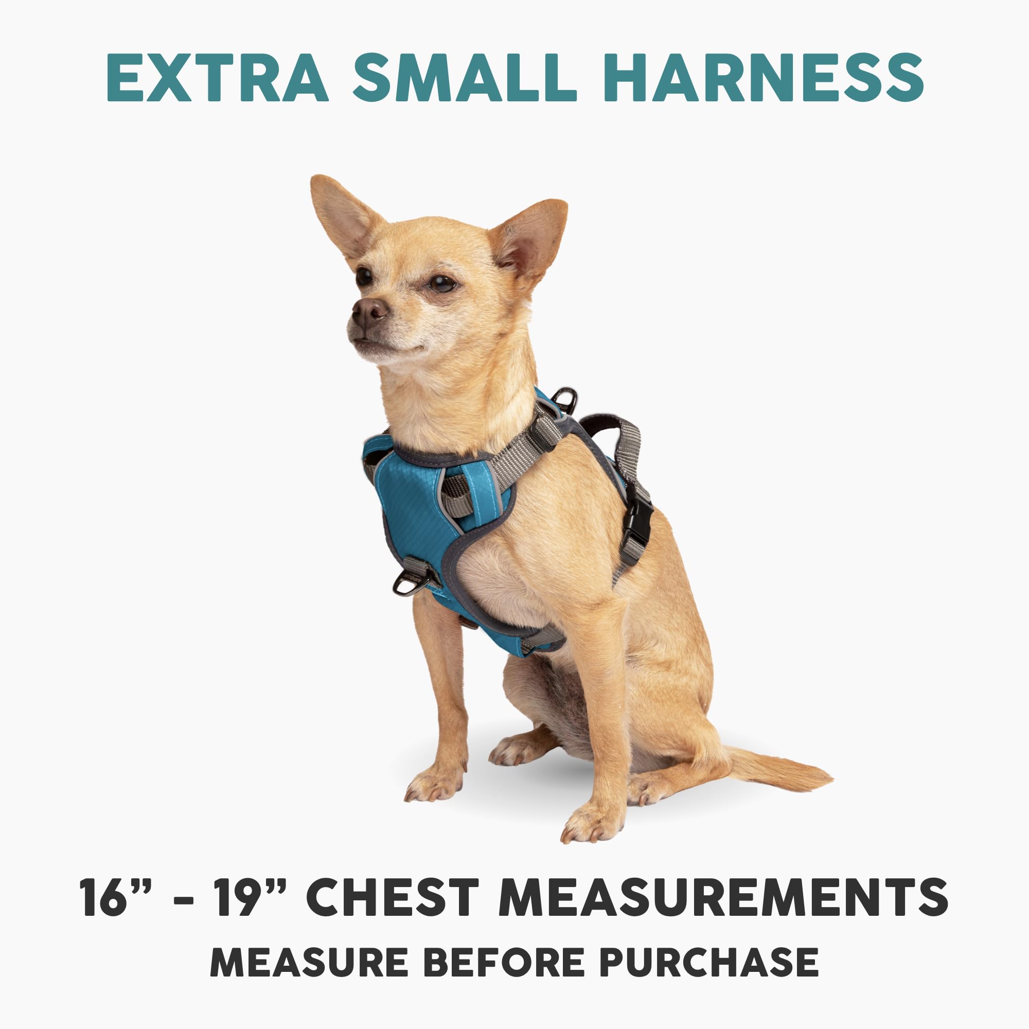 Arnés Embark Pets, foco dorsal con clip trasero para control cómodo.