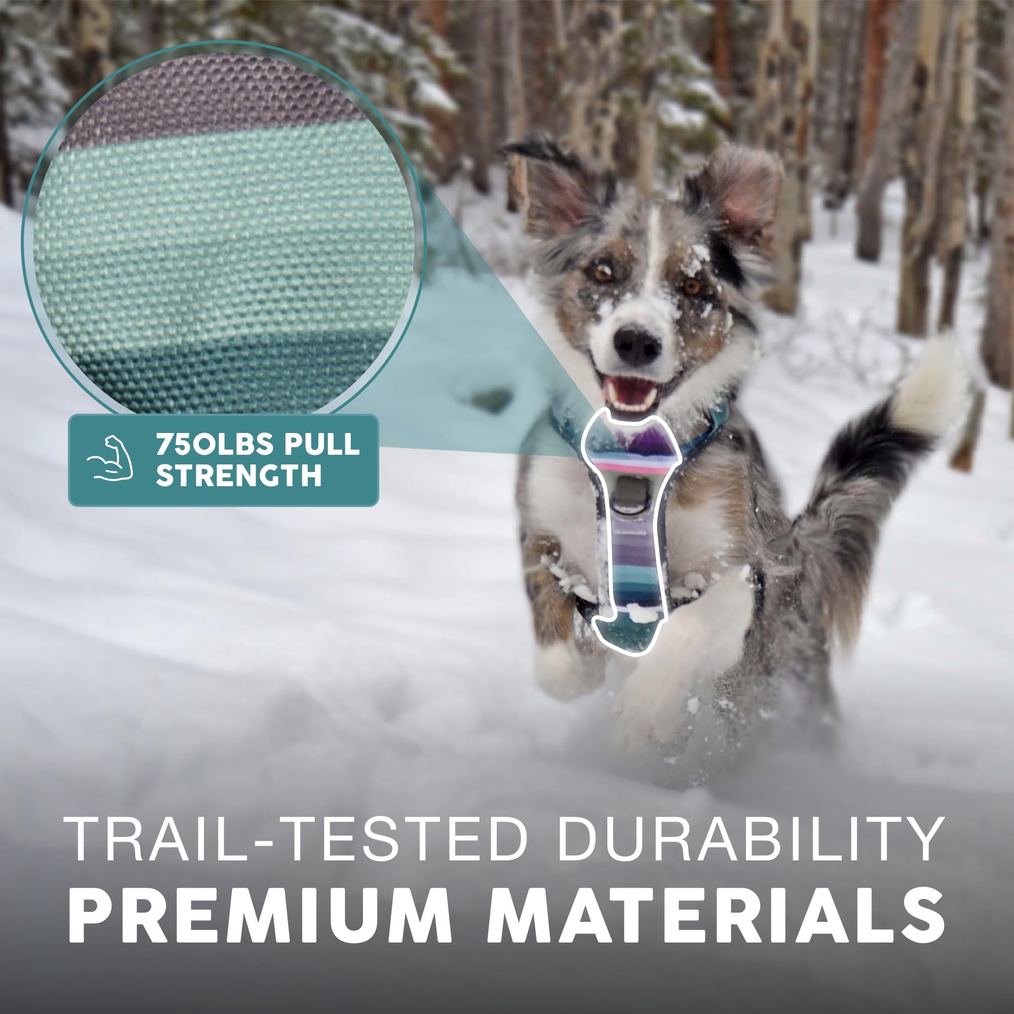 Embark Pets arnés aventura XL acolchado suave para comodidad diaria