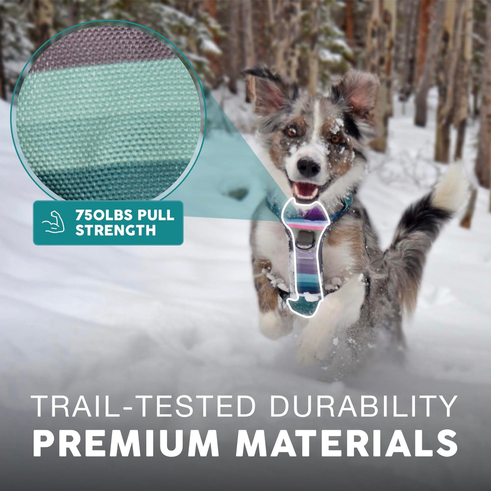 Embark Pets arnés aventura XL acolchado suave para comodidad diaria