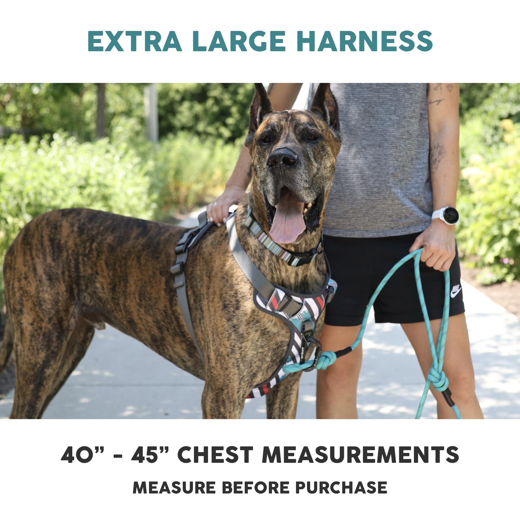 Embark Pets arnés aventura XL con banda reflectante 360° para visibilidad nocturna