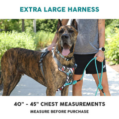 Embark Pets arnés aventura XL con banda reflectante 360° para visibilidad nocturna