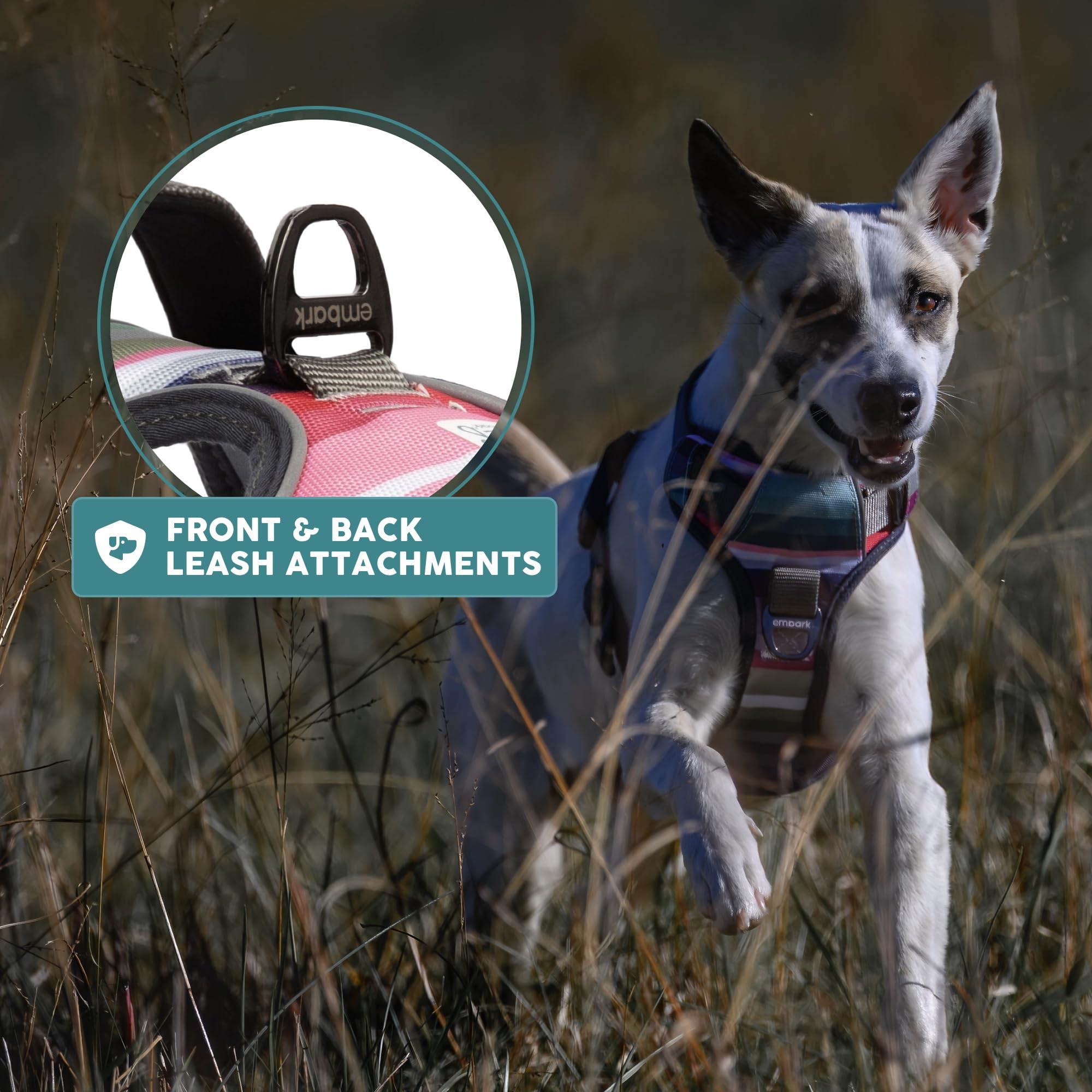 Embark Pets arnés aventura XL uso diario para perros grandes