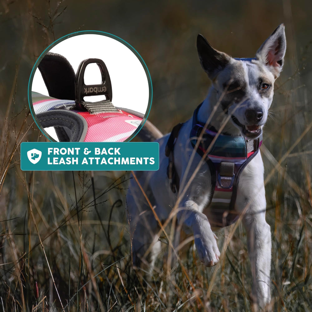 Embark Pets arnés aventura XL uso diario para perros grandes
