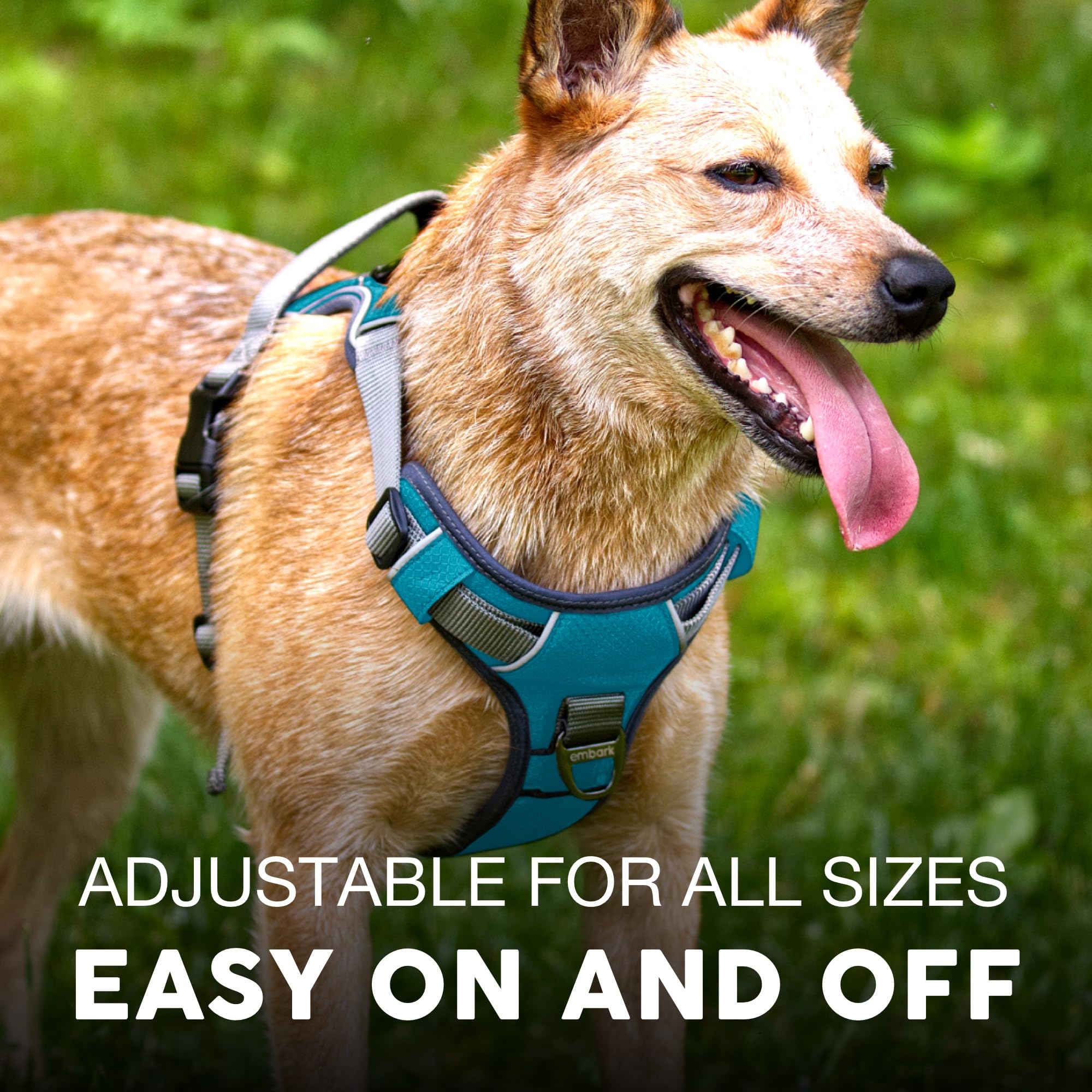 Embark Pets arnés perro aventura ajuste extendido para un ajuste cómodo.