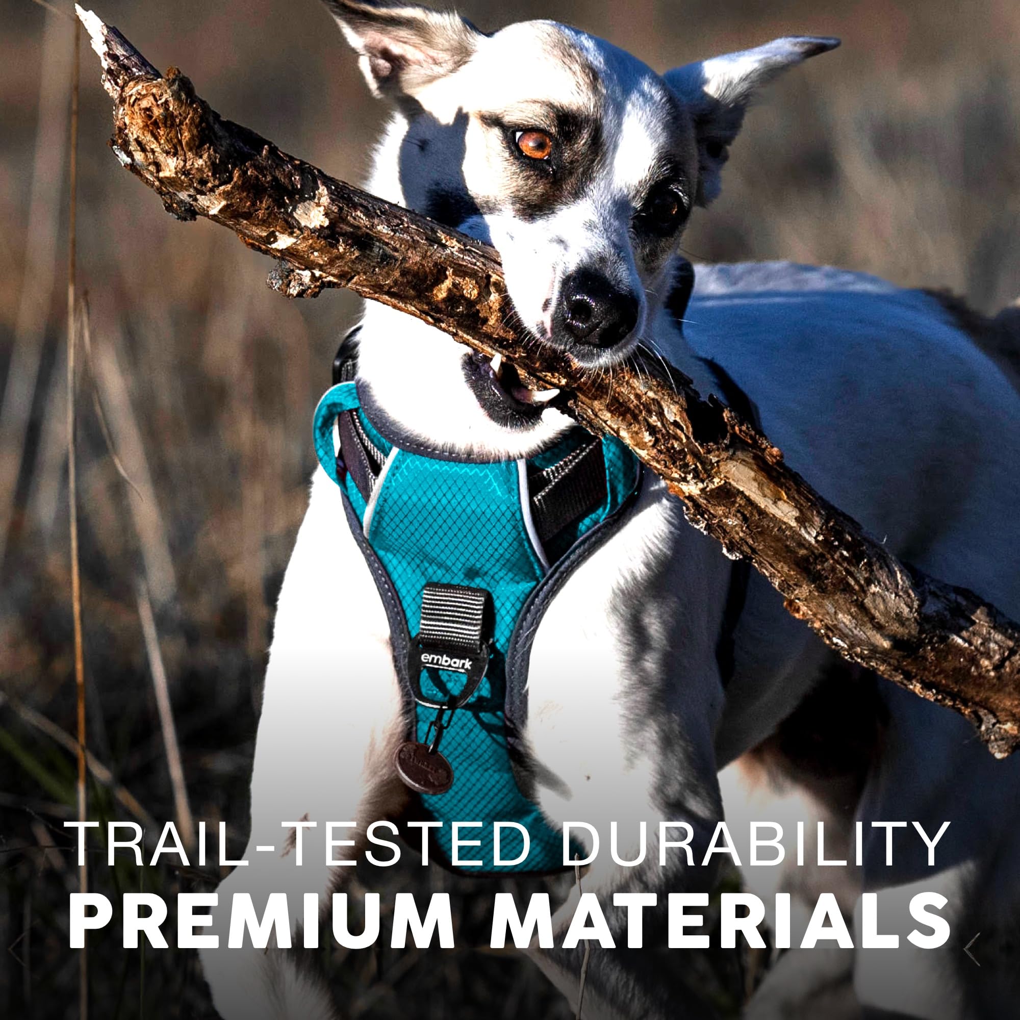 Embark Pets arnés perro aventura nylon militar para mayor durabilidad.