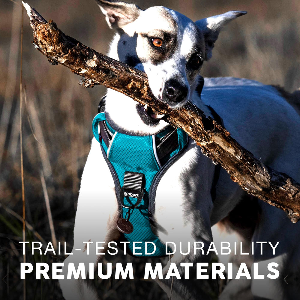 Embark Pets arnés perro aventura nylon militar para mayor durabilidad.