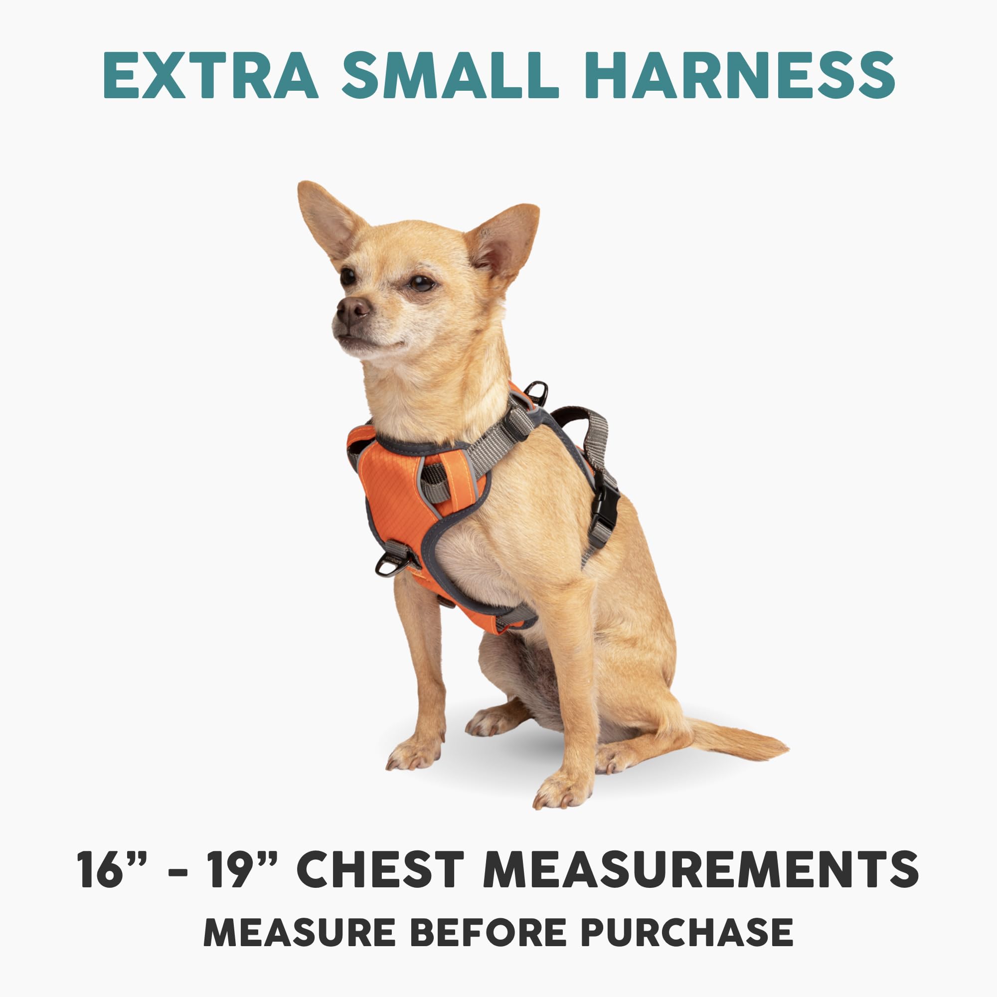 Arnés Embark Pets con clip trasero para paseos diarios