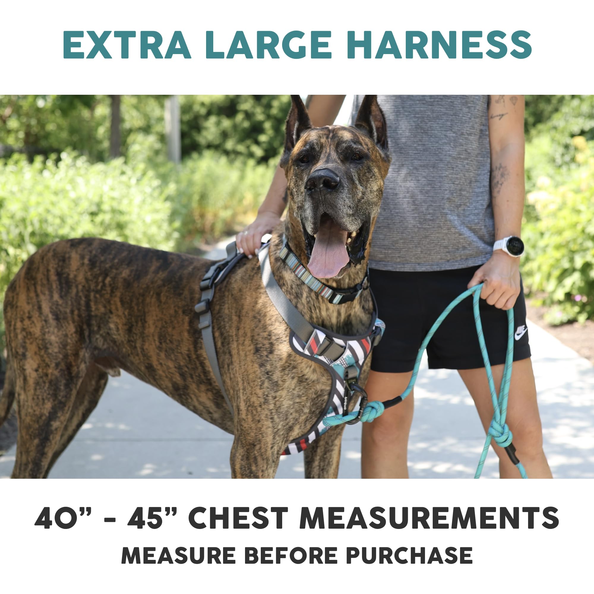 Arnés Embark Pets XL con clip trasero reflectivo para control adicional