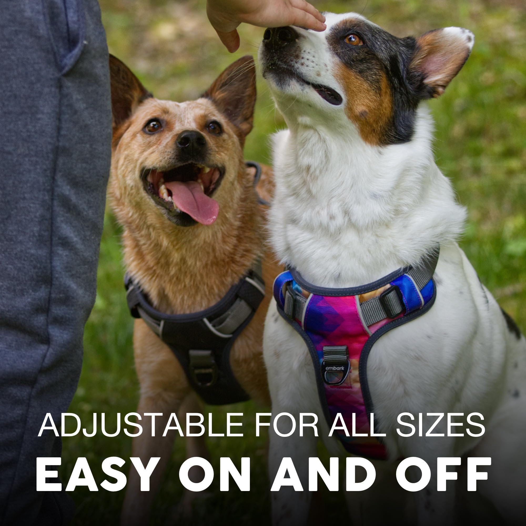 Arnés Embark Aventura ajustable para perros grandes, cómodo y seguro.