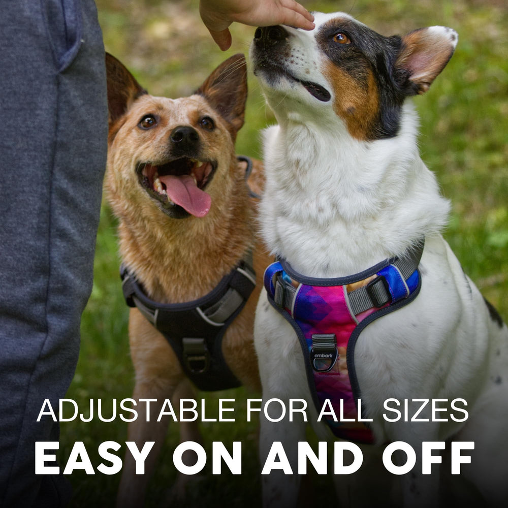 Arnés Embark Aventura ajustable para perros grandes, cómodo y seguro.