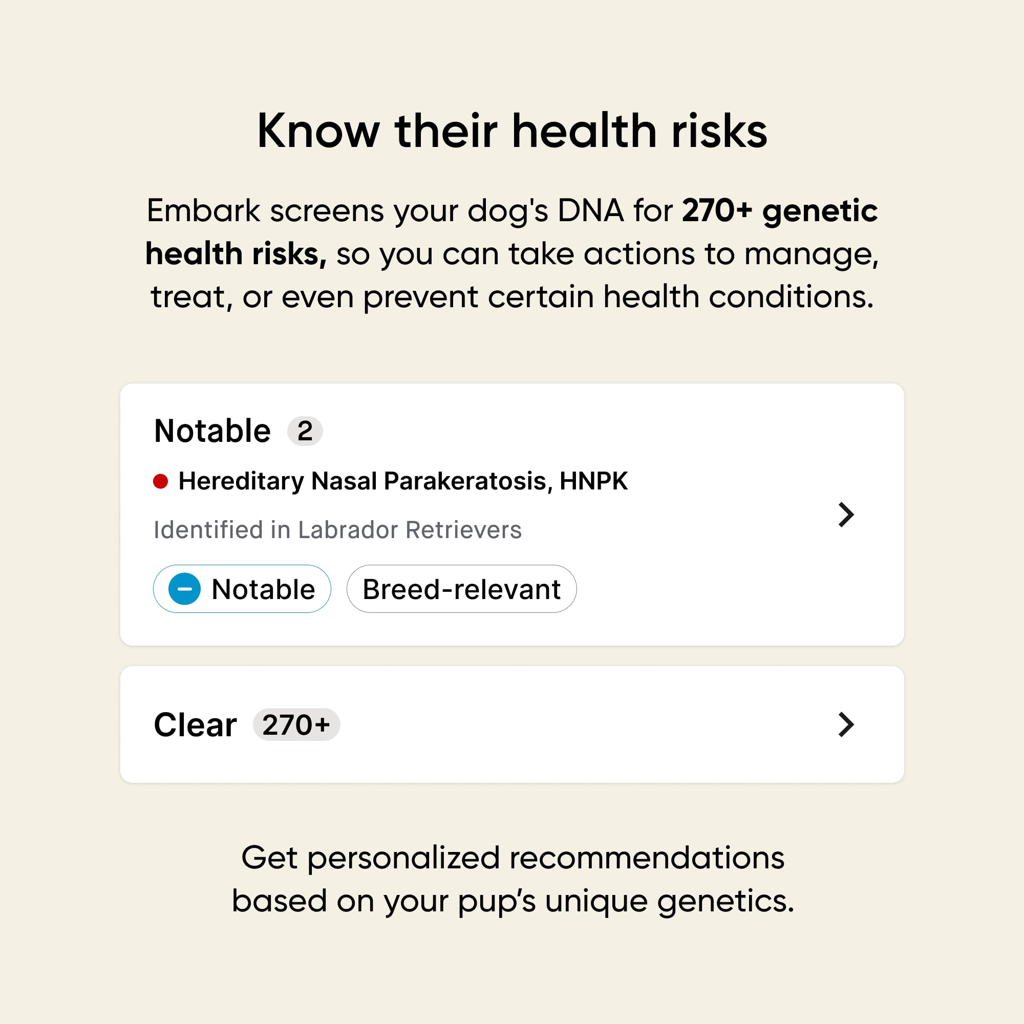 Embark prueba ADN para perro: antepasados y familiares identificados