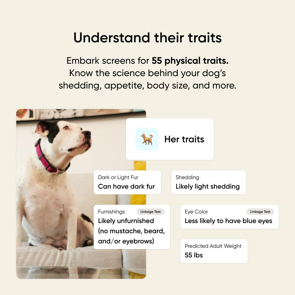 Embark prueba ADN para perro: características físicas y rasgos visibles