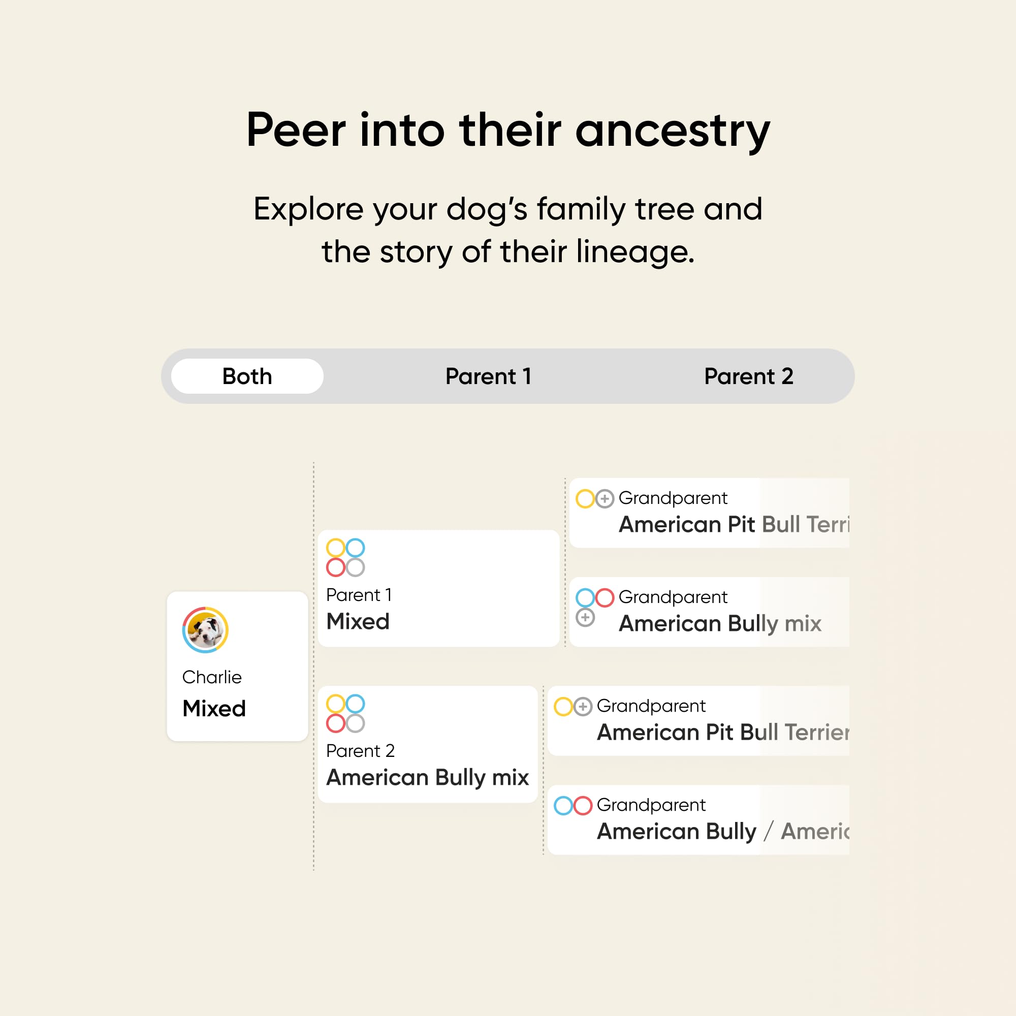Embark prueba ADN para perro: cuestionario de personalidad y tendencias