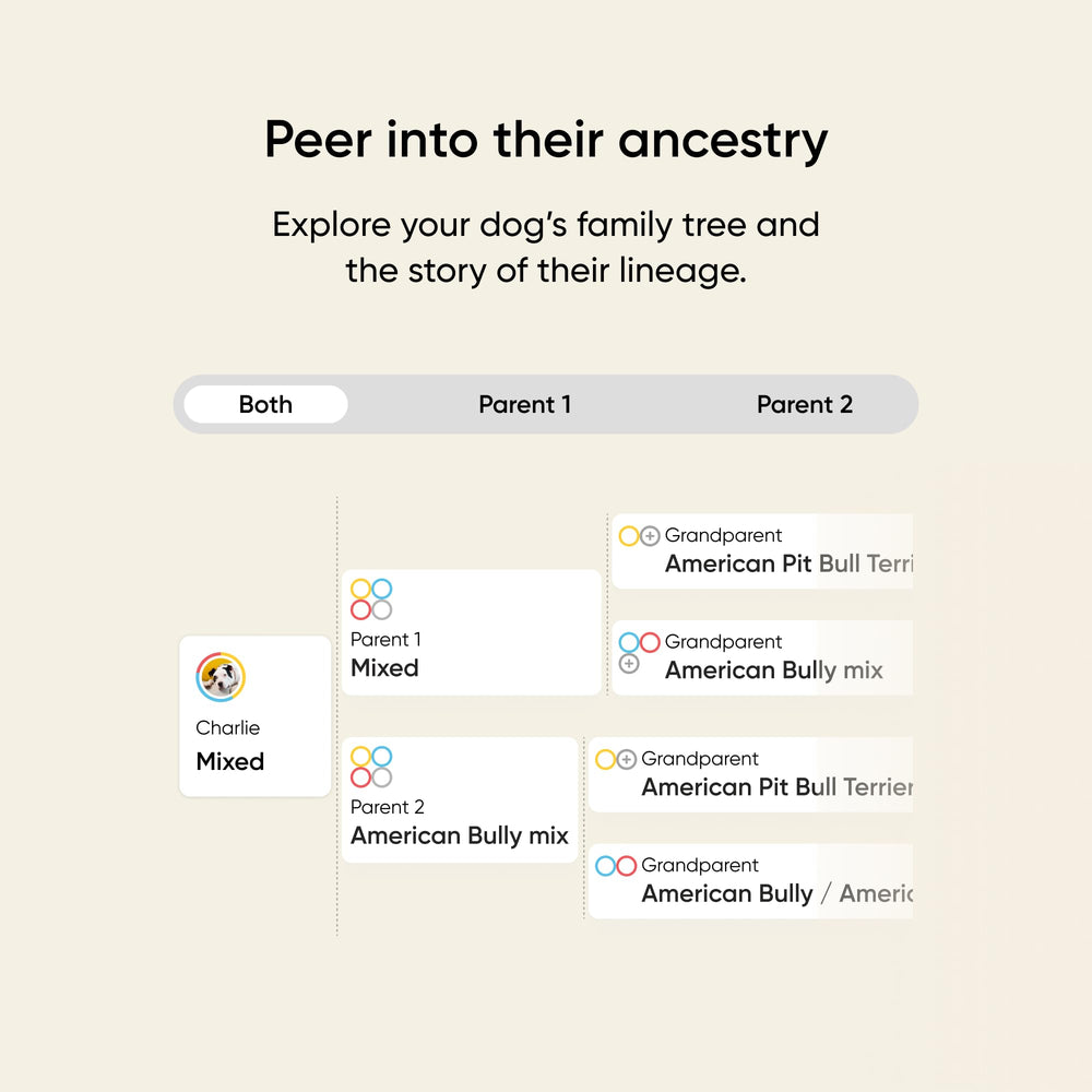 Embark prueba ADN para perro: cuestionario de personalidad y tendencias