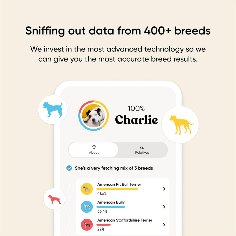 Embark prueba ADN para perro: perspectivas de salud útiles para el cuidado diario