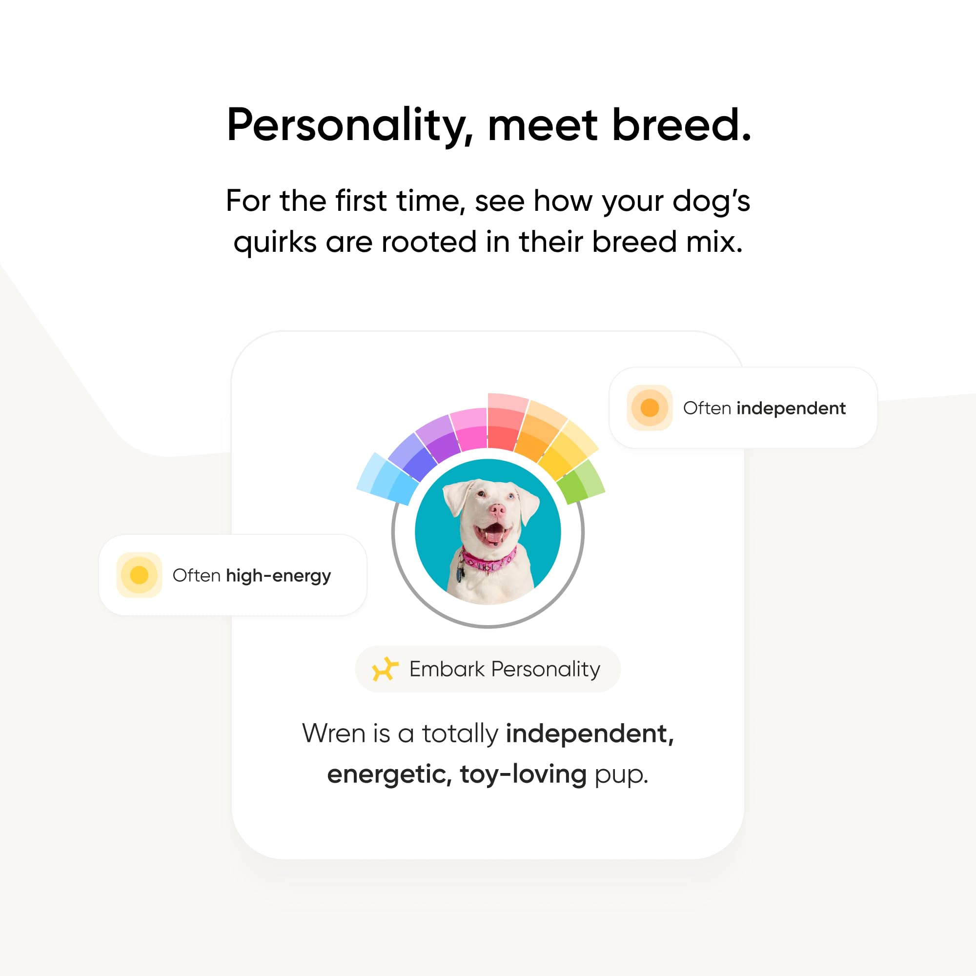 Embark prueba ADN para perro: asesoría veterinaria rápida y confiable
