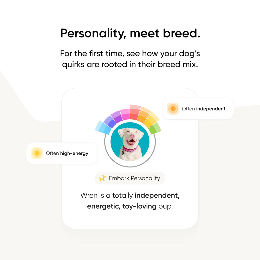 Embark prueba ADN para perro: asesoría veterinaria rápida y confiable