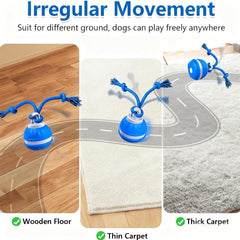 emeqzoa P06 modo rápido con luz azul para perros enérgicos