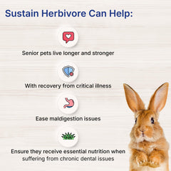 Polvo nutritivo EMERAID Sustain Herbivore Mint con textura lista para mezclar.