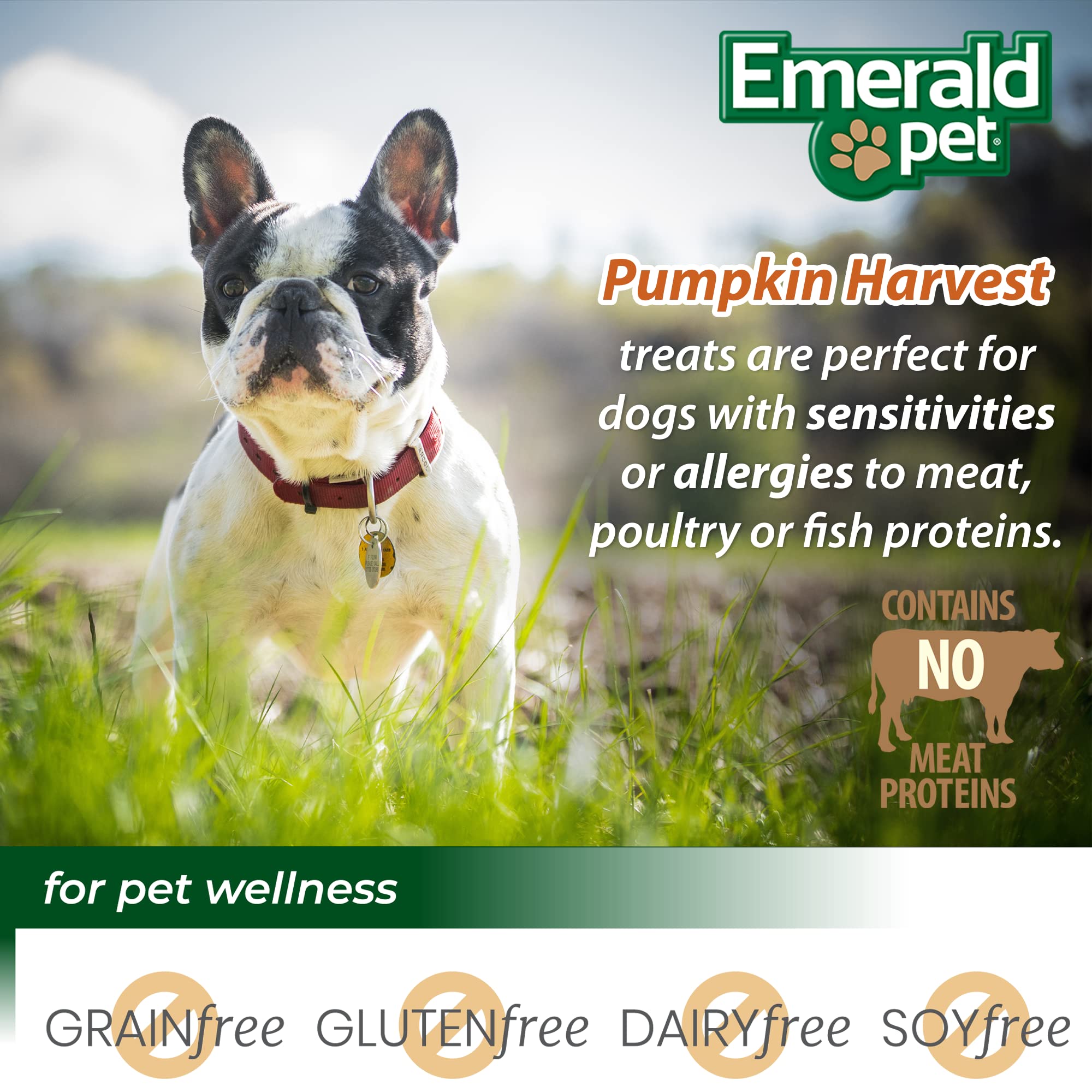 Emerald Pet Hecho en EE.UU.: calidad familiar y ingredientes premium